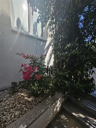Apartment Astella Pjescana Uvala Croatia